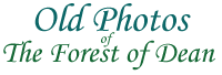 Old photos of the Forest of Dean - SunGreen web site